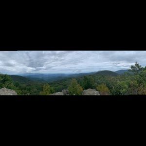 Meet your Posher, Dhara